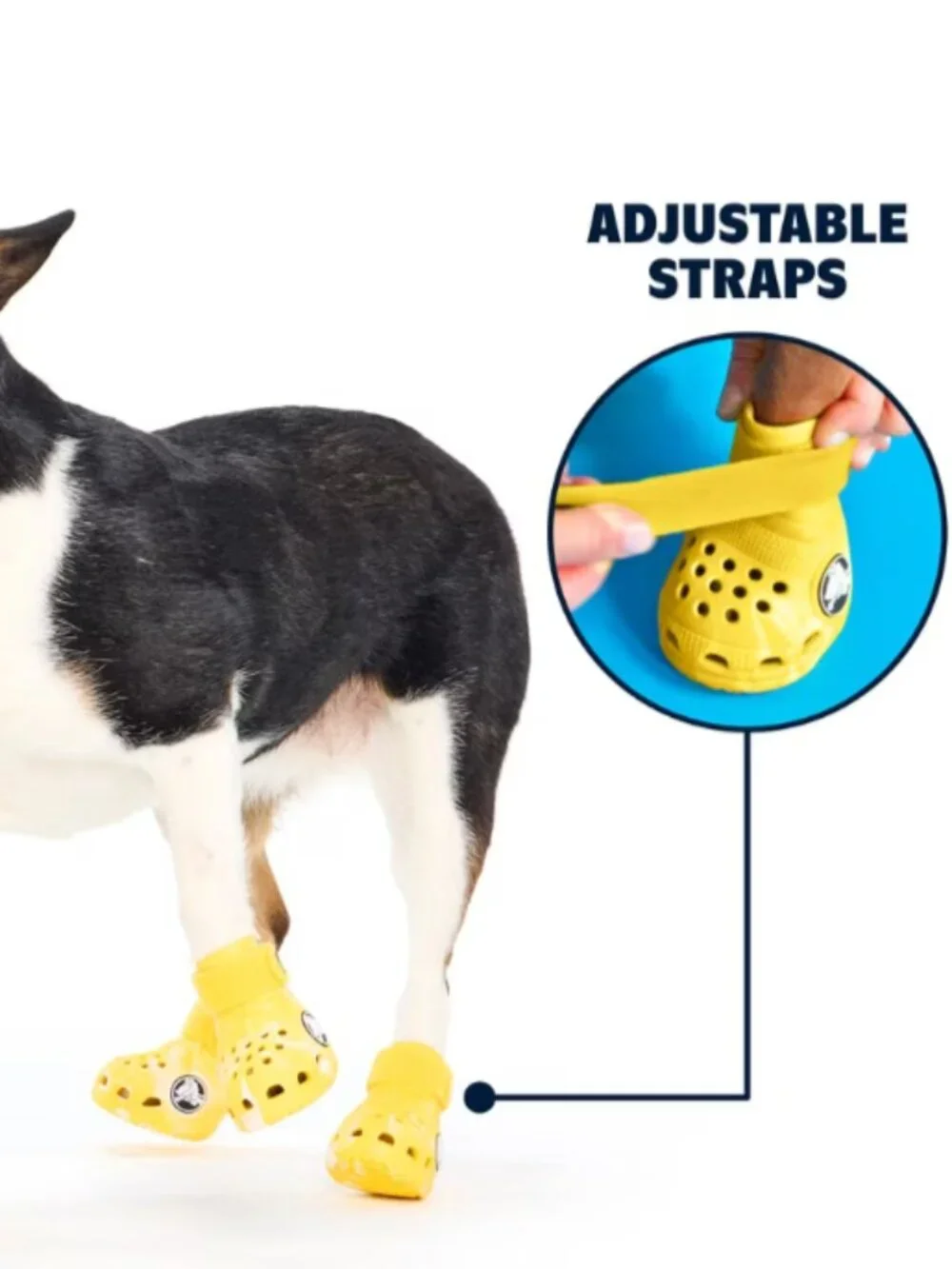 Bark Crocs for Dogs